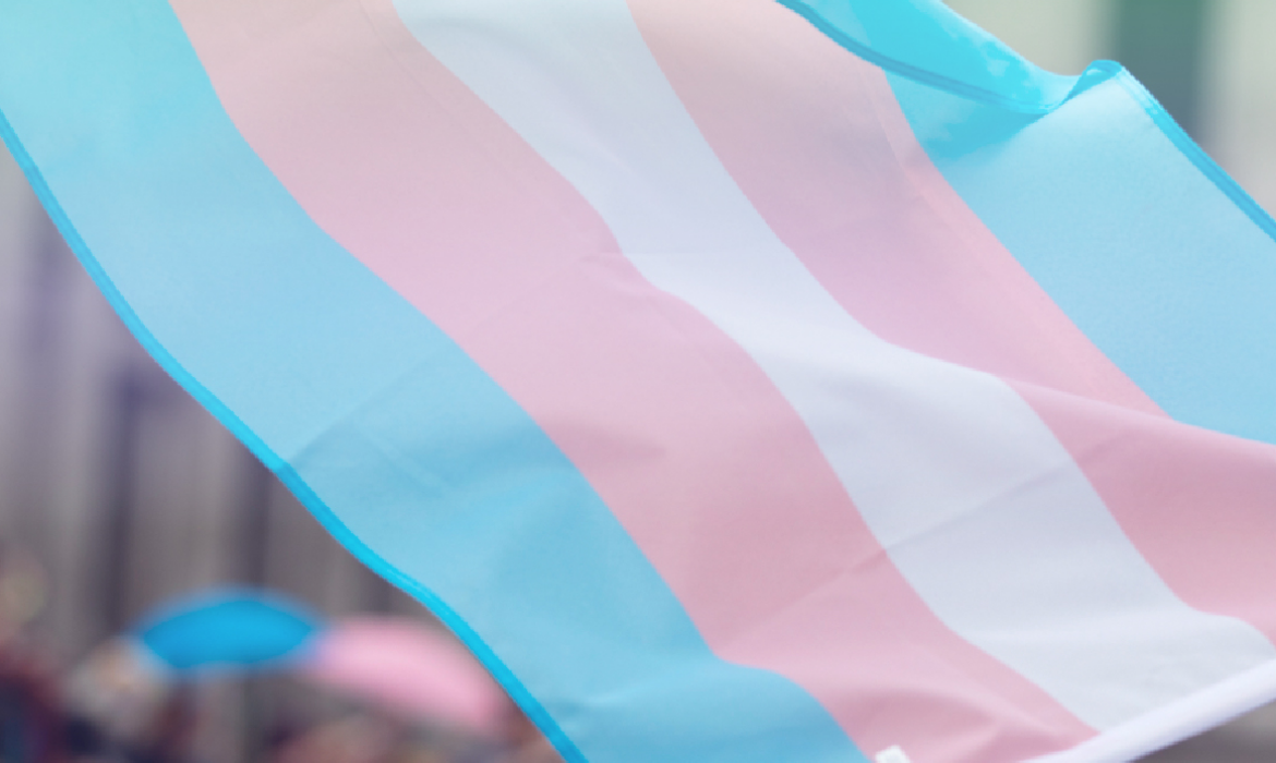 Visibilidad Trans
