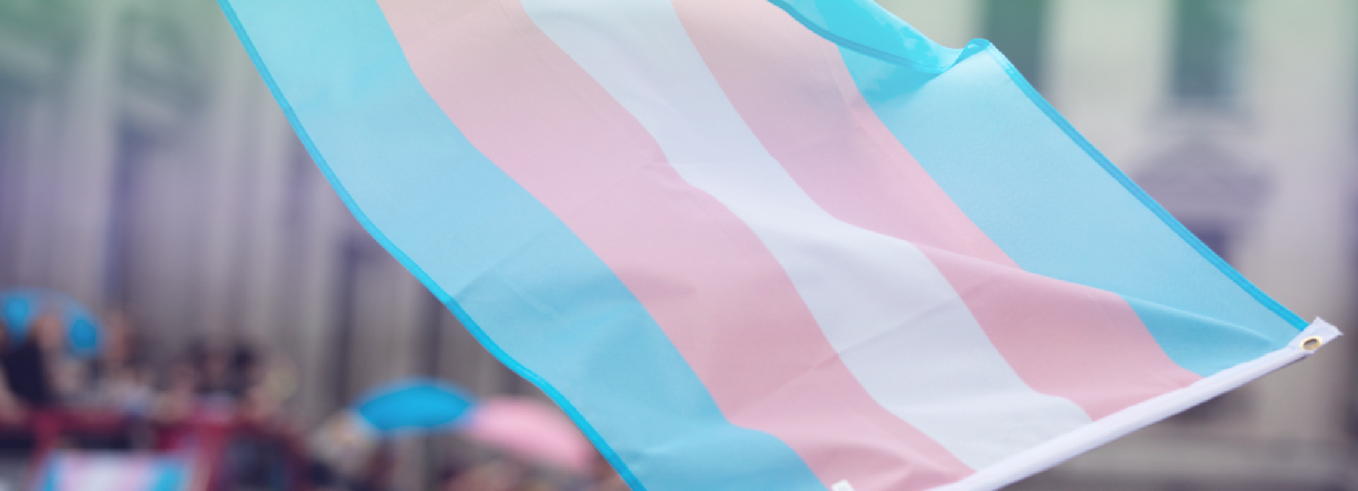 Visibilidad Trans