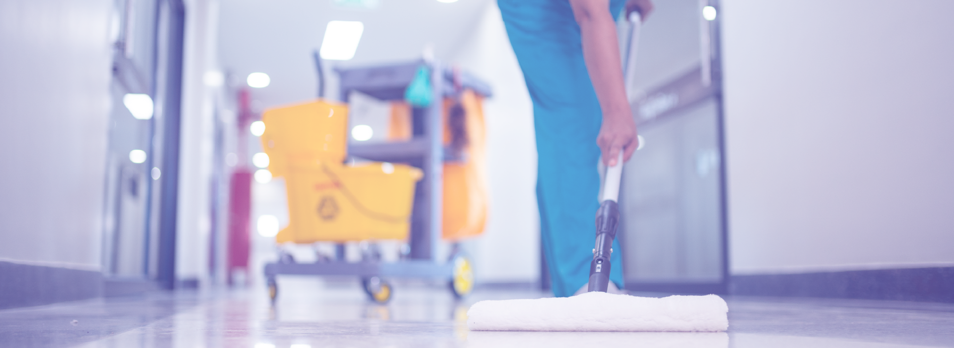 sectores de limpieza