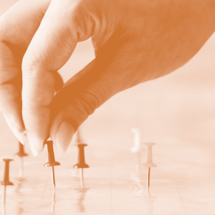 dimensión profesional